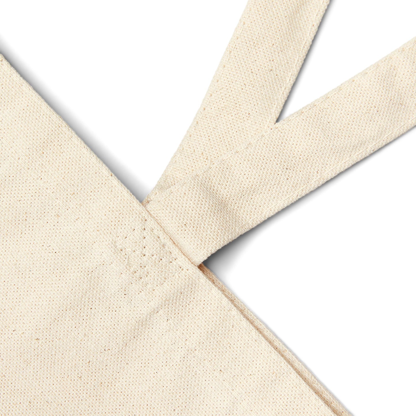 Anointed & Appointed Canvas Tote